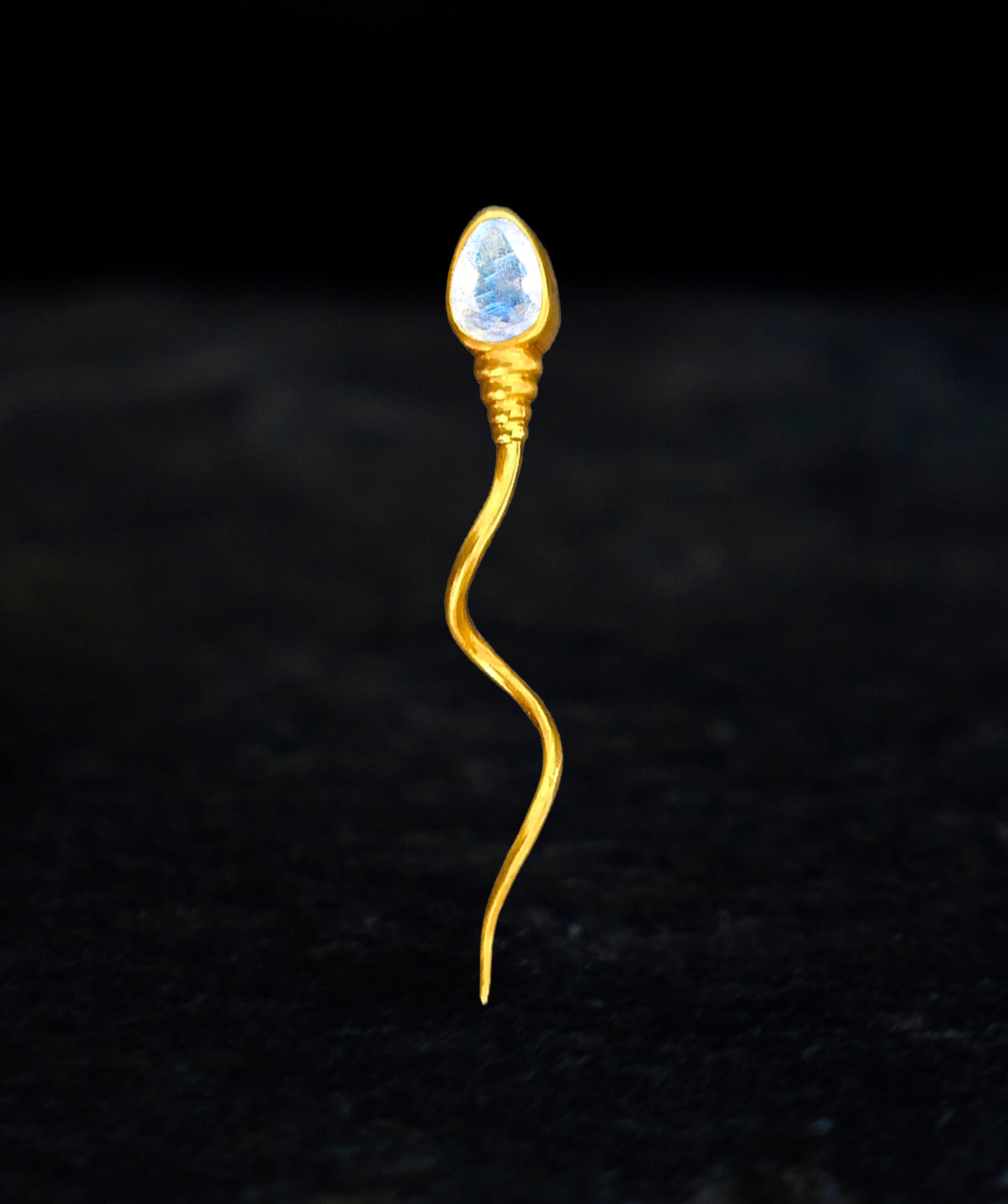 «The winner » BROOCH - Yellow Gold - Moonstone