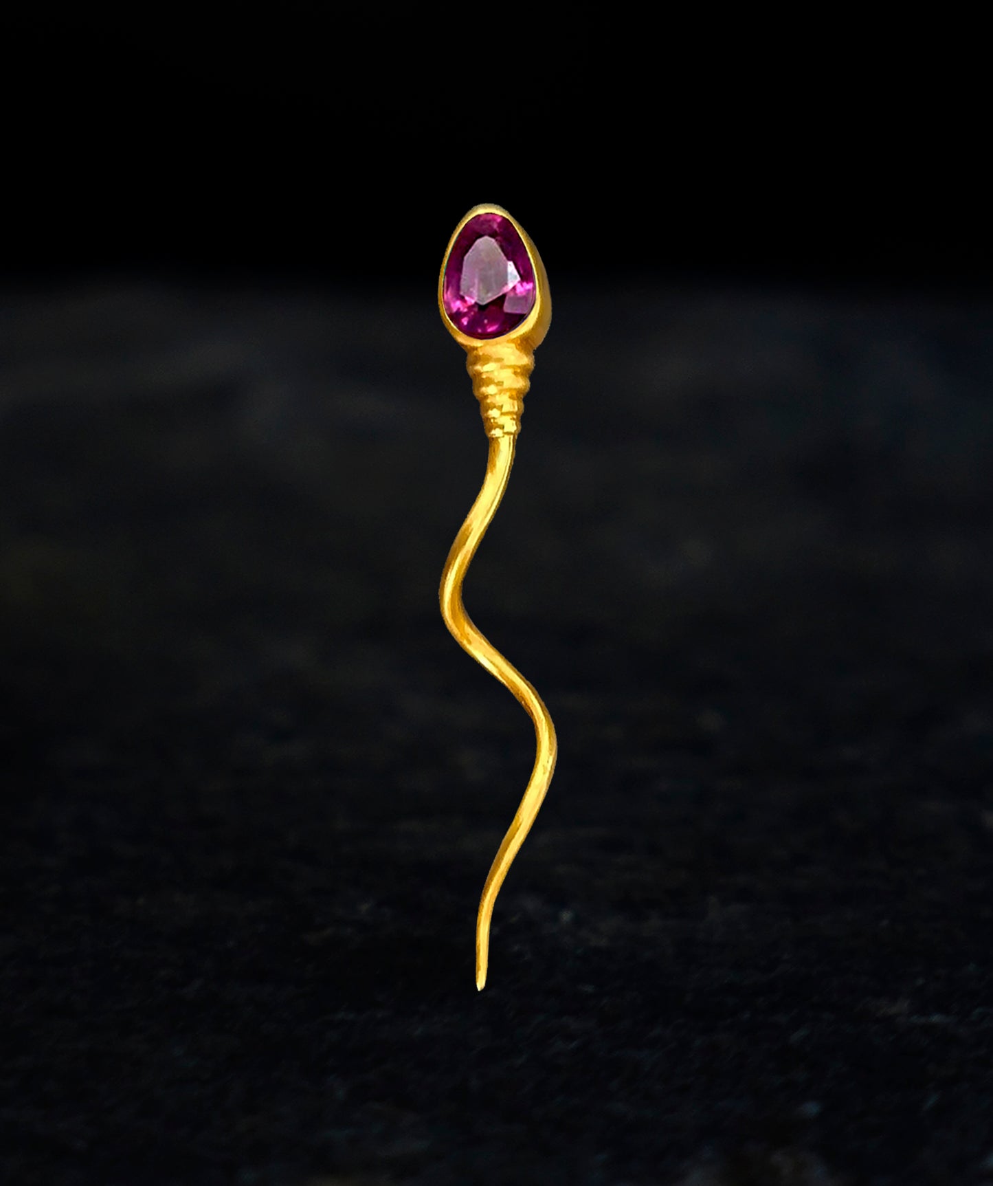 «The winner » BROOCH - Yellow Gold - Ruby